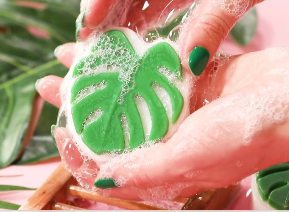 Monstera Leaf Soap