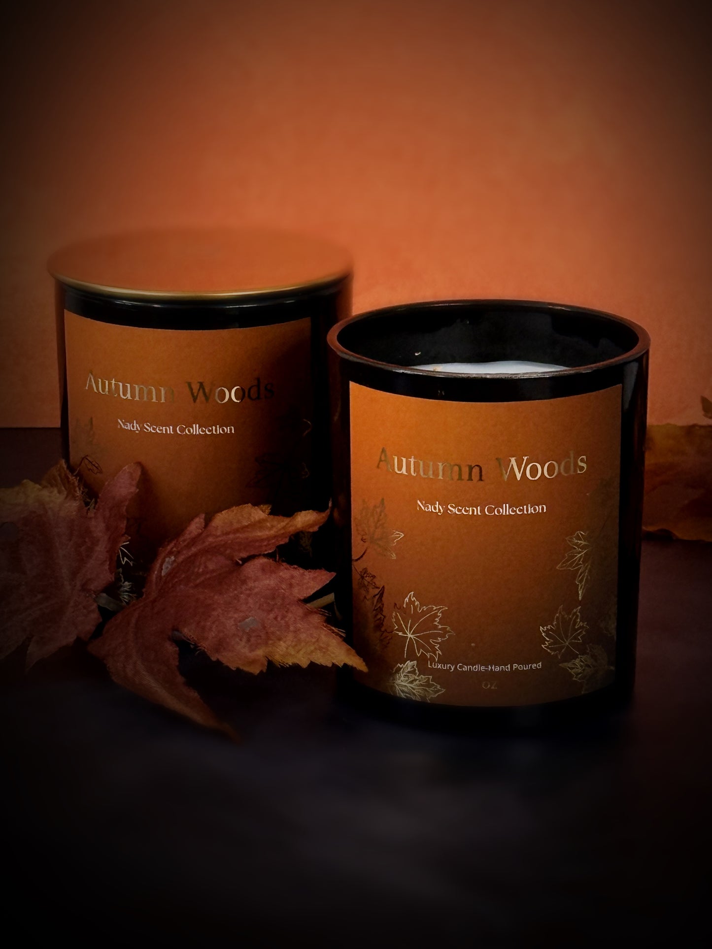 Autumn Woods
